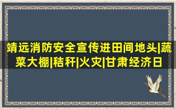 靖远消防安全宣传进田间地头|蔬菜大棚|秸秆|火灾|甘肃经济日报