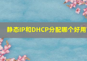 静态IP和DHCP分配哪个好用?