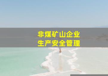 非煤矿山企业生产安全管理