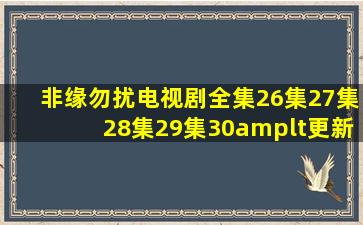 非缘勿扰电视剧全集26集27集28集29集30<更新四十集大结局>百度TV...