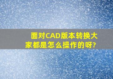 面对CAD版本转换大家都是怎么操作的呀?