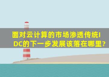 面对云计算的市场渗透,传统IDC的下一步发展该落在哪里?