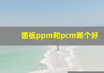 面板ppm和pcm哪个好