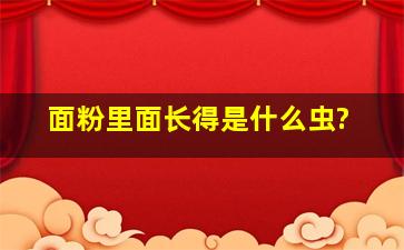 面粉里面长得是什么虫?