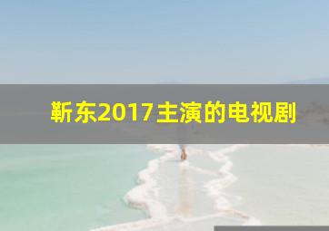 靳东2017主演的电视剧