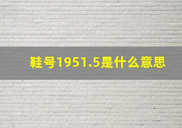 鞋号195(1.5)是什么意思