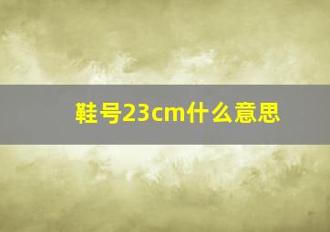 鞋号23cm什么意思