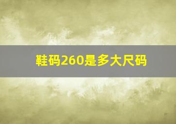 鞋码260是多大尺码(