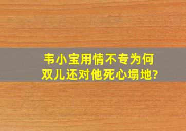 韦小宝用情不专,为何双儿还对他死心塌地?