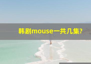 韩剧mouse一共几集?