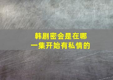 韩剧密会是在哪一集开始有私情的