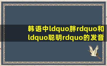 韩语中“胖”和“聪明”的发音好象很象,能不能用拼音标一下,有什么...