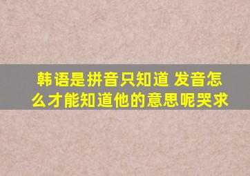 韩语是拼音,只知道 发音,怎么才能知道他的意思呢哭求