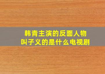 韩青主演的反面人物叫子义的是什么电视剧