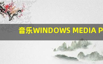 音乐WINDOWS MEDIA PLAYER