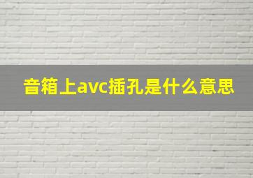 音箱上avc插孔是什么意思