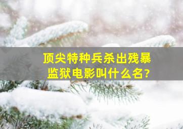 顶尖特种兵杀出残暴监狱电影叫什么名?