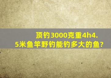 顶钓3000克重4h4.5米鱼竿,野钓能钓多大的鱼?