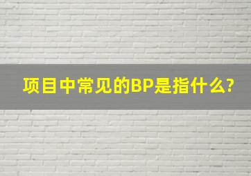 项目中常见的BP是指什么?