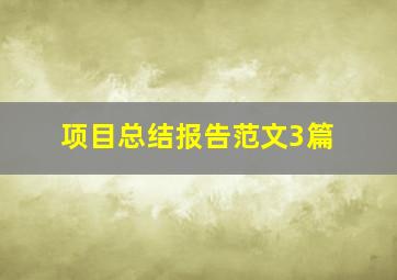 项目总结报告范文3篇