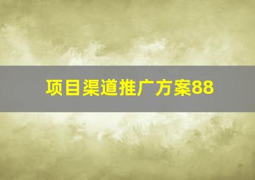 项目渠道推广方案(88)