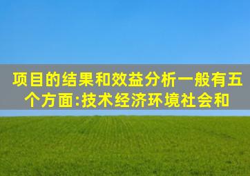 项目的结果和效益分析,一般有五个方面:技术、经济、环境、社会和( )。