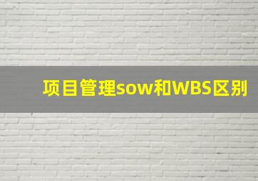 项目管理sow和WBS区别