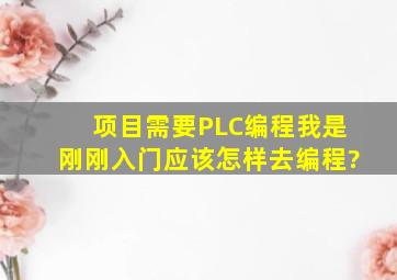 项目需要PLC编程我是刚刚入门应该怎样去编程?