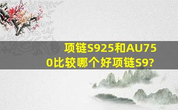 项链S925和AU750比较哪个好项链S9?