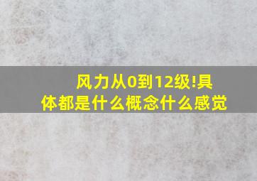 风力从0到12级!具体都是什么概念什么感觉