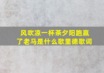 风吹凉一杯茶夕阳跑赢了老马是什么歌里德歌词(