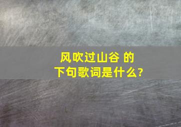 风吹过山谷 的下句歌词是什么?