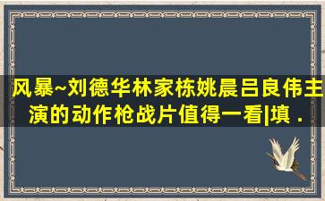 风暴~刘德华、林家栋、姚晨、吕良伟主演的动作枪战片,值得一看|填 ...