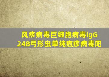 风疹病毒巨细胞病毒igG248弓形虫单纯疱疹病毒阳