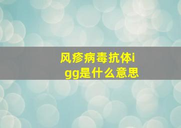 风疹病毒抗体igg是什么意思