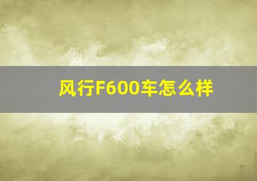 风行F600车怎么样