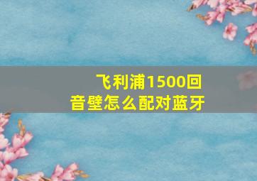 飞利浦1500回音壁怎么配对蓝牙