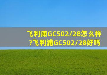 飞利浦GC502/28怎么样?飞利浦GC502/28好吗