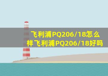 飞利浦PQ206/18怎么样(飞利浦PQ206/18好吗