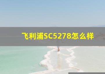 飞利浦SC5278怎么样