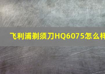 飞利浦剃须刀HQ6075怎么样