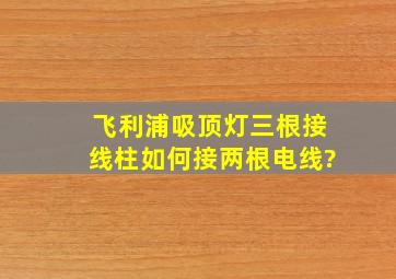 飞利浦吸顶灯三根接线柱如何接两根电线?