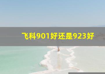 飞科901好还是923好