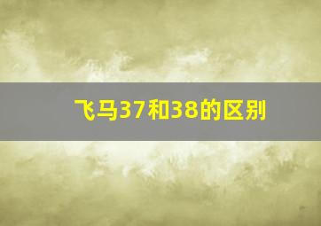 飞马37和38的区别