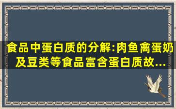 食品中蛋白质的分解:肉、鱼、禽、蛋、奶及豆类等食品,富含蛋白质,故...