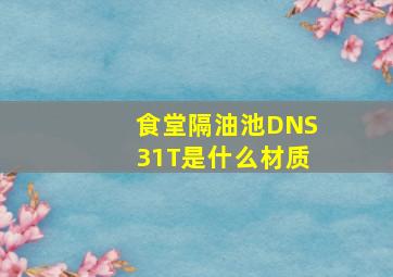 食堂隔油池DNS31T是什么材质