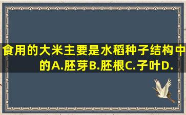 食用的大米主要是水稻种子结构中的A.胚芽B.胚根C.子叶D.胚乳