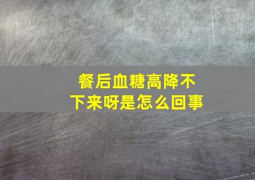 餐后血糖高,降不下来呀,是怎么回事