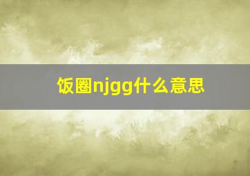 饭圈njgg什么意思