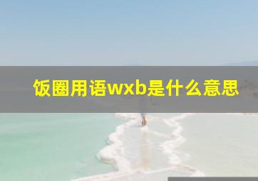 饭圈用语wxb是什么意思